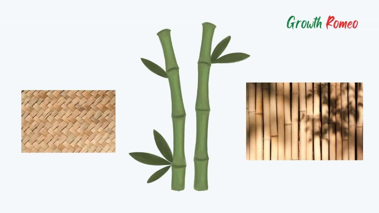 Bamboo product manufacturing business ideas