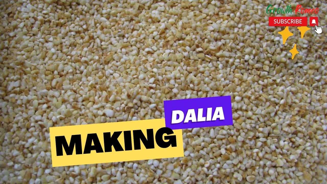 Dalia manufacturing food business ideas