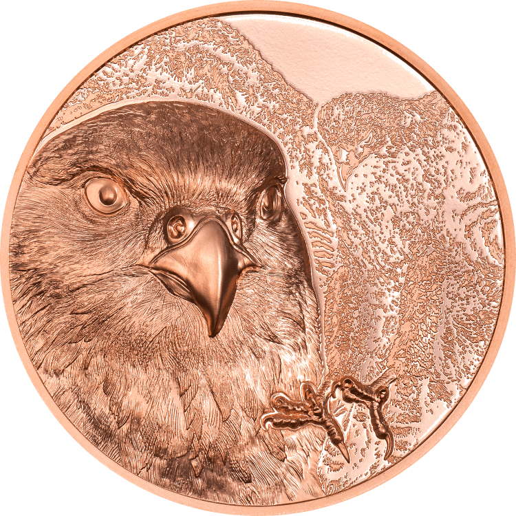 Wild Mongolia – Mongolian Falcon 50-gram copper coin 2023