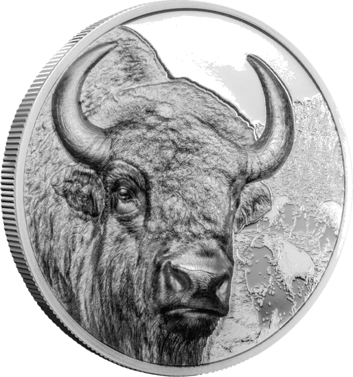 Wild Mongolia – Bison 1-oz silver coin 2025