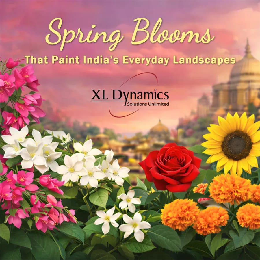 Spring Blooms That Paint India’s Everyday Landscapes