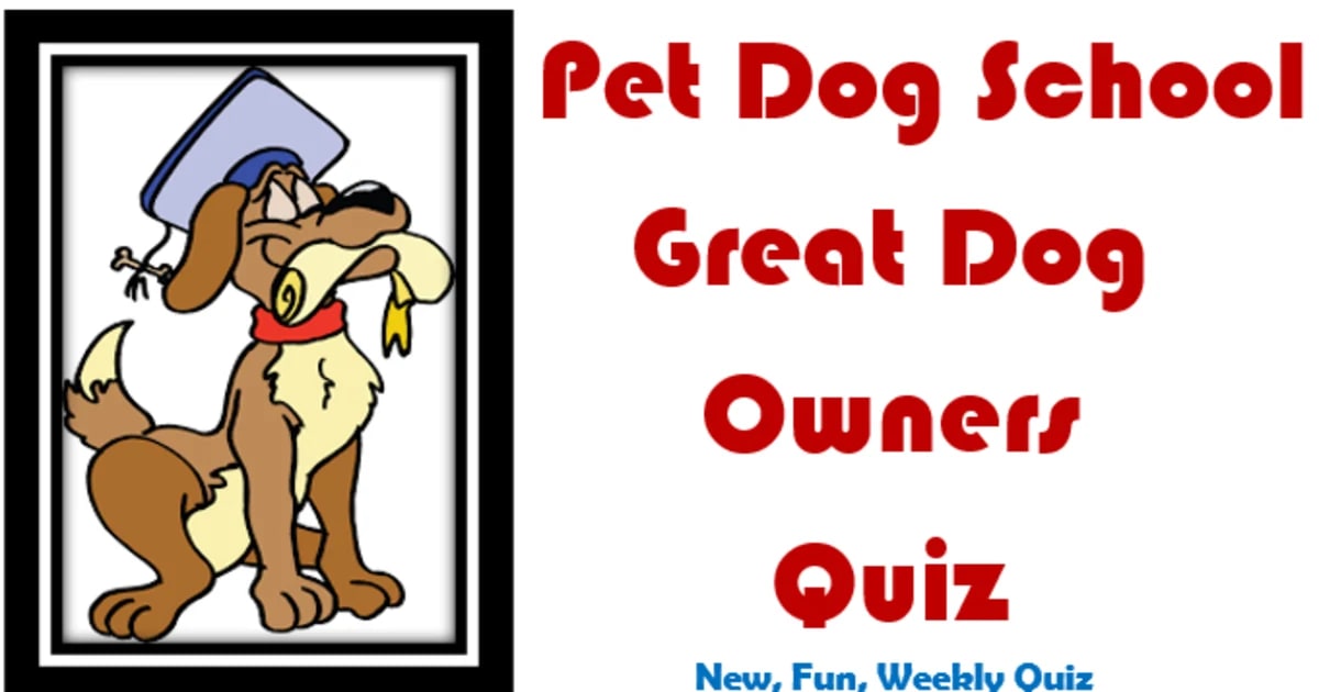The GREAT DOG Owners Quiz from Pet Dog School