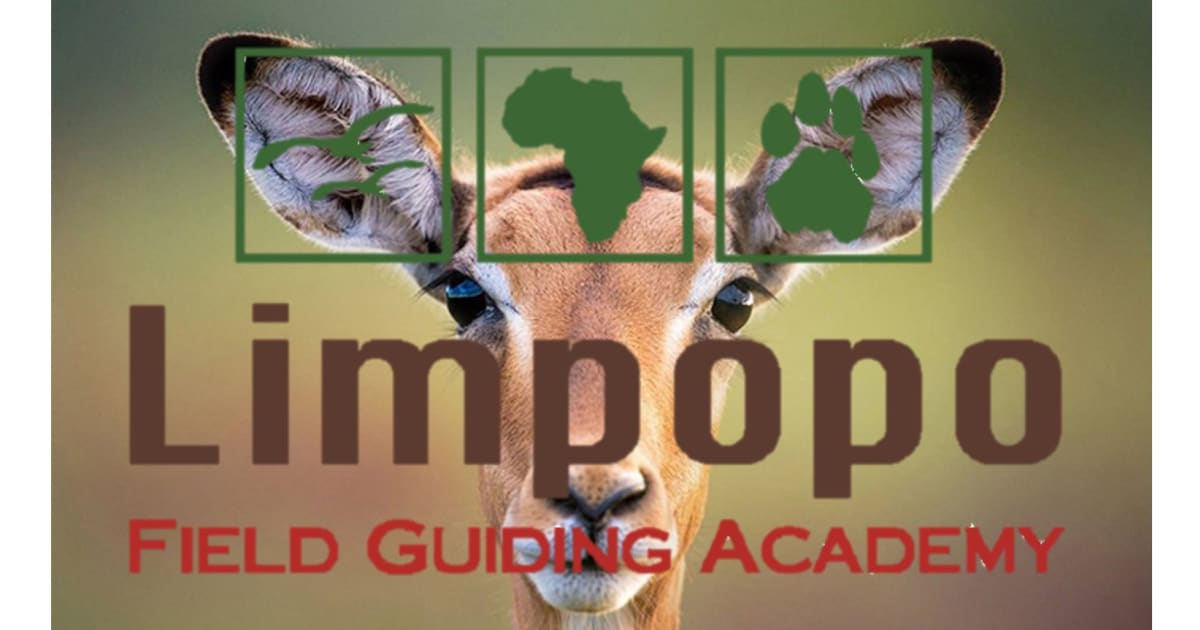 Antelope Quiz