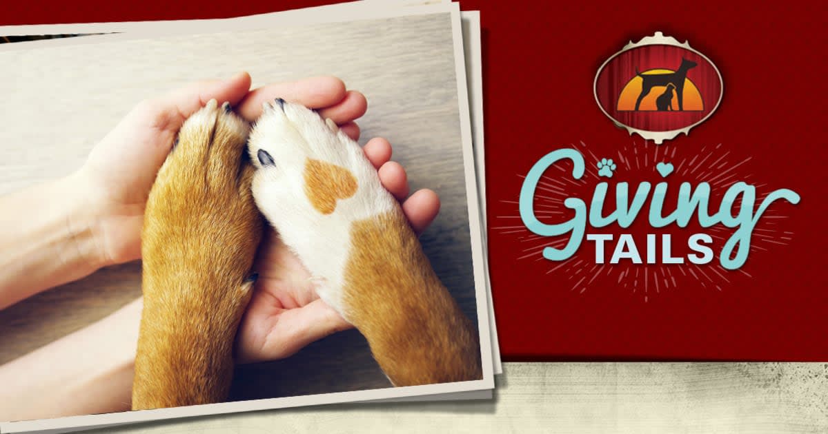 Sunset Animal Hospital 2020 Giving Tails Contest
