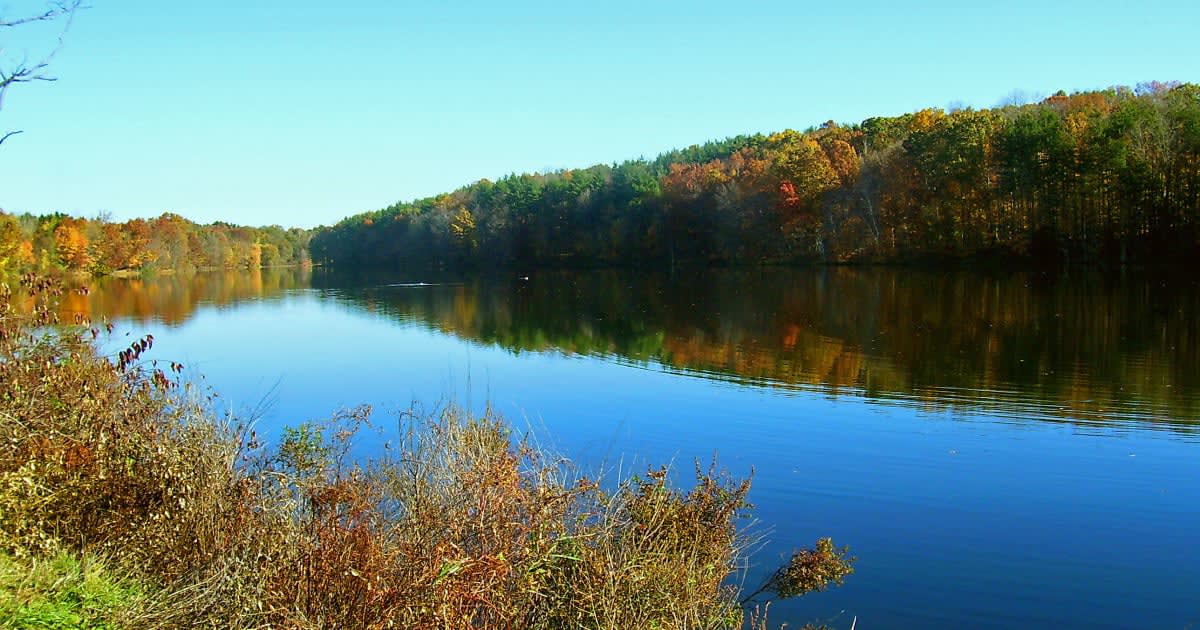 Brown's Pond Water For Better or Worse