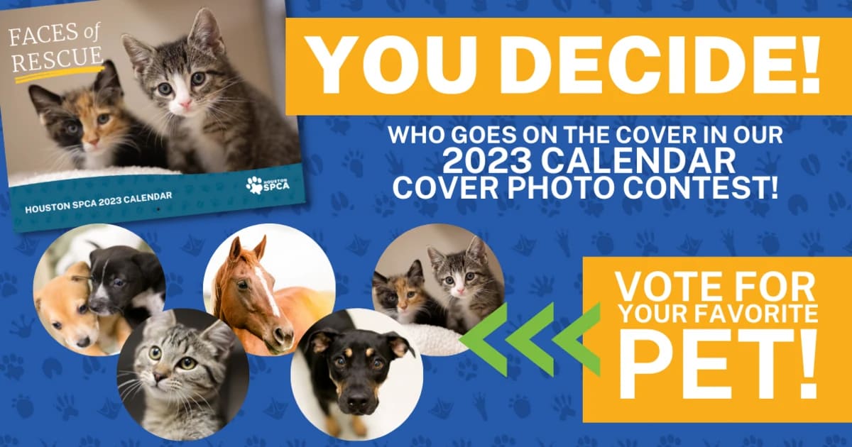 Houston SPCA 2023 Calendar Cover Photo Contest