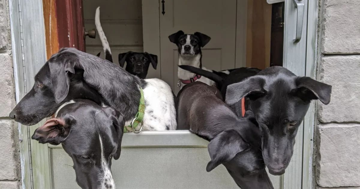 Central Maine Dryland Reschedule