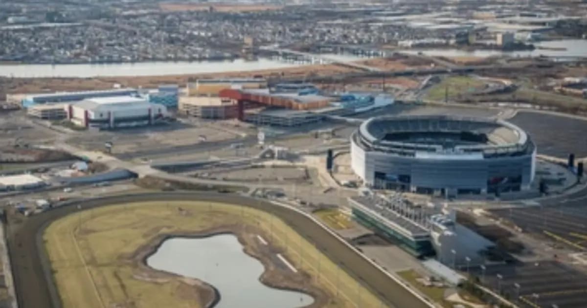 Meadowlands Area Issues