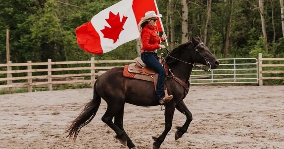 Le Cheval Canadien Awareness Survey