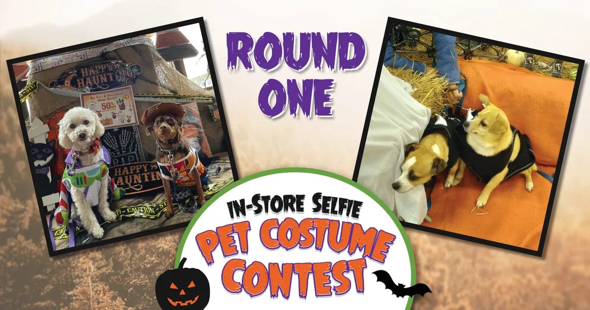 CountryMax Pet Costume Contest InStore Selfie Photo Contest 2023