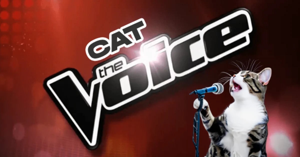 Help us choose the top singer and performer in the Cat Voice competition.