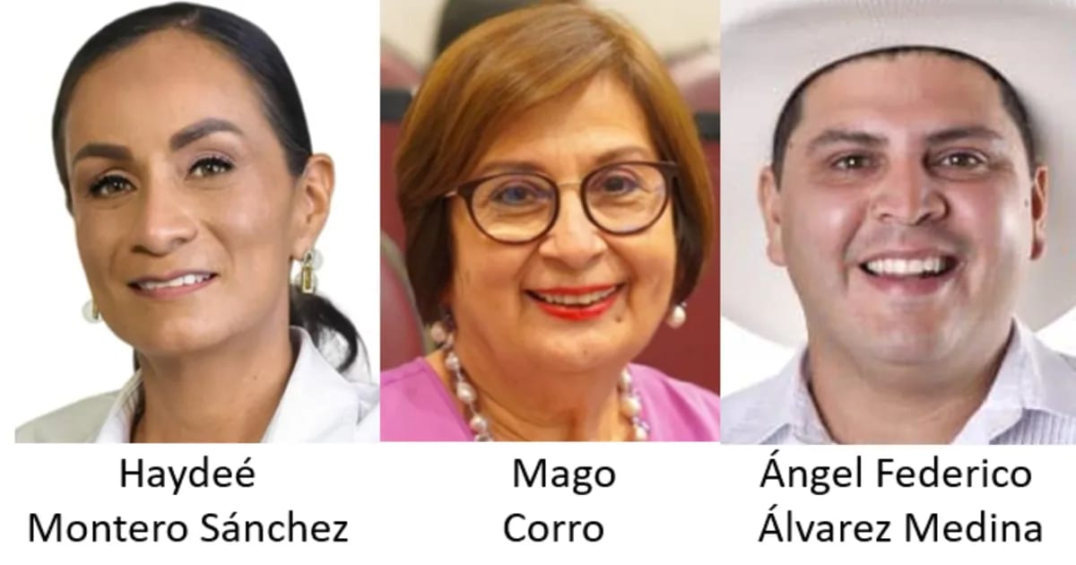 Elección Diputados Federales del Estado de Veracruz Distrito 17