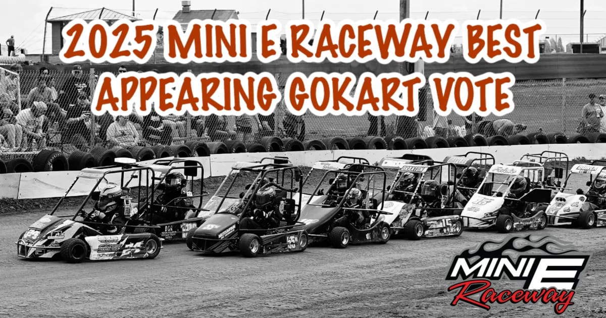 2025 Mini E Raceway Best Appearing Gokart Vote