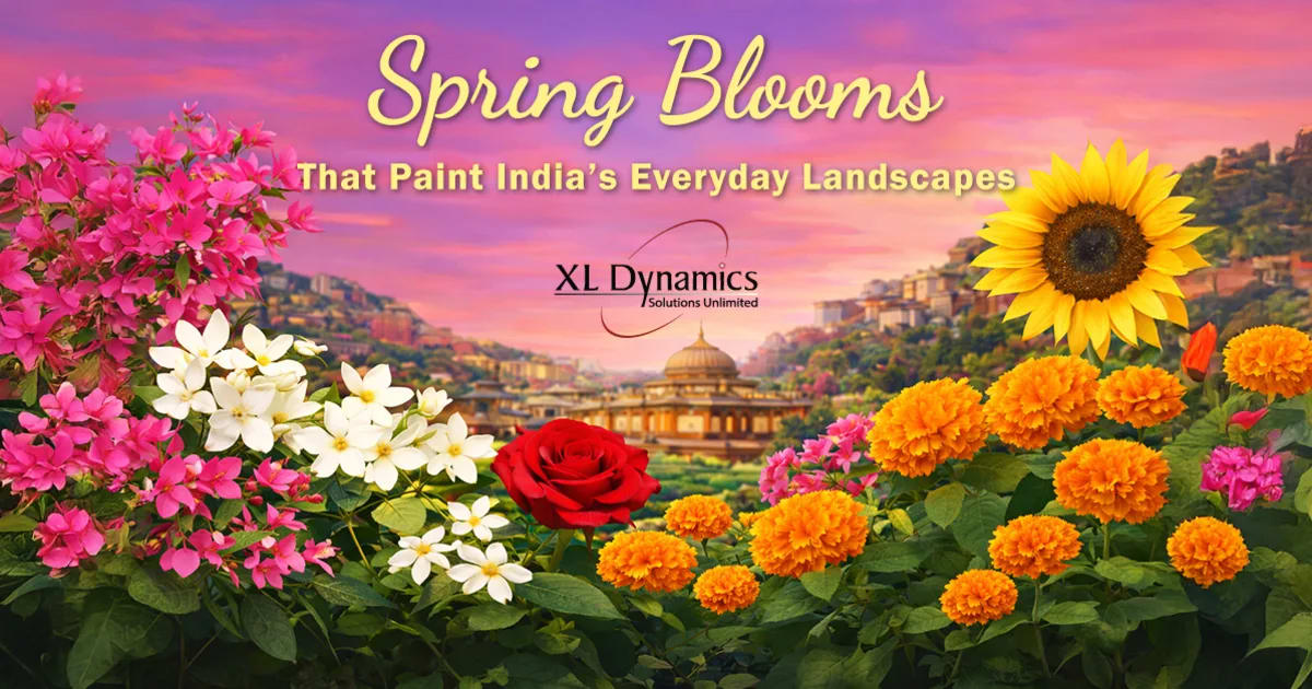 Spring Blooms That Paint India’s Everyday Landscapes