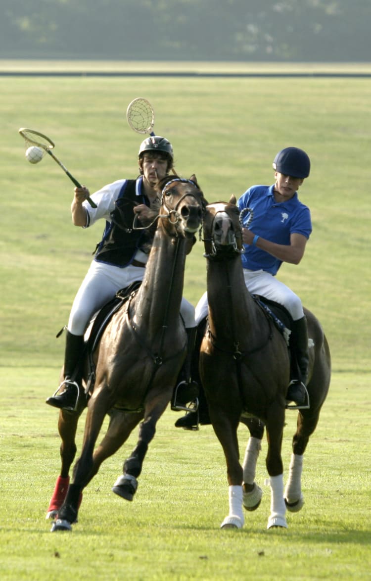 polo lacrosse