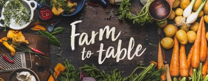 Farm_to_table_blockchain_technology_for_agriculture_business_application_and_use_cases_of_blockchain_in_agriculture_for_farmers_and_agritech