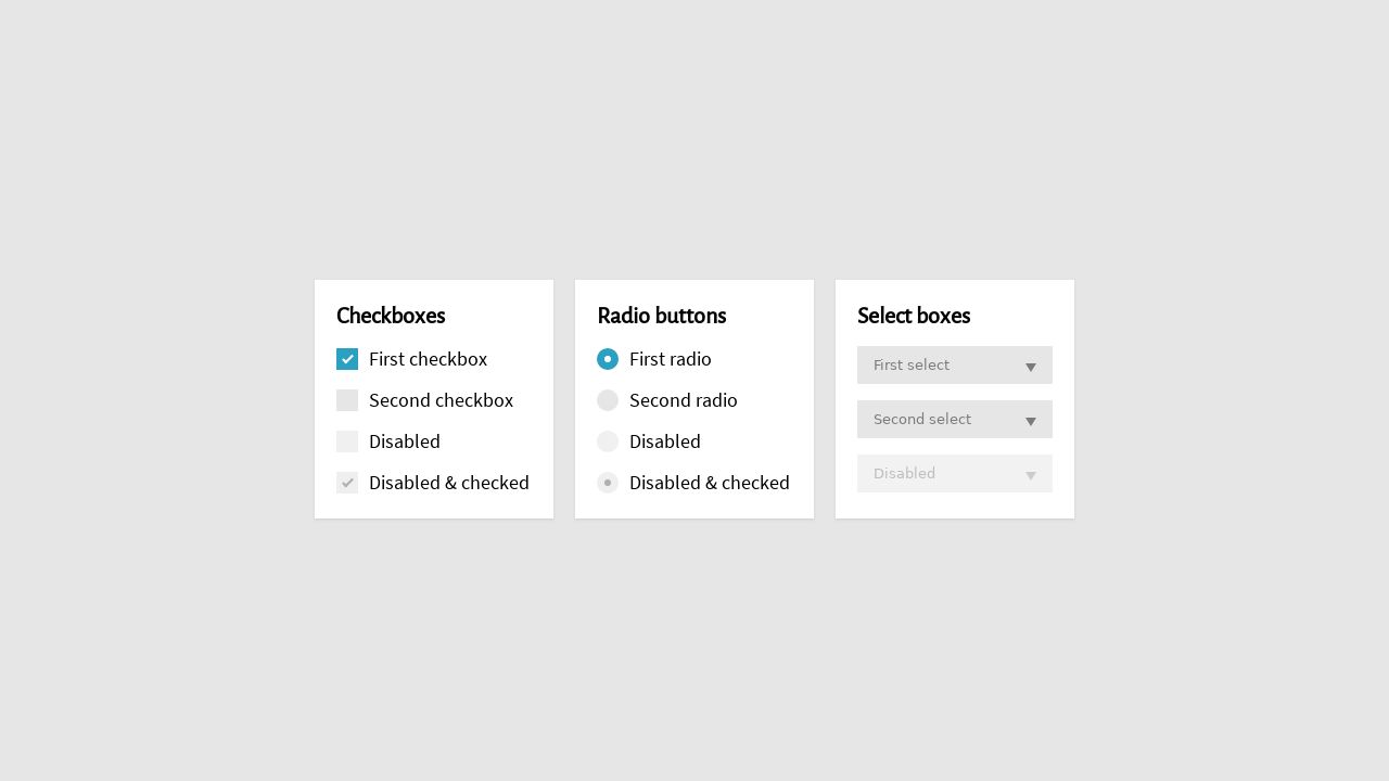 Completely CSS: Custom Checkboxes, Radio Buttons and Selects