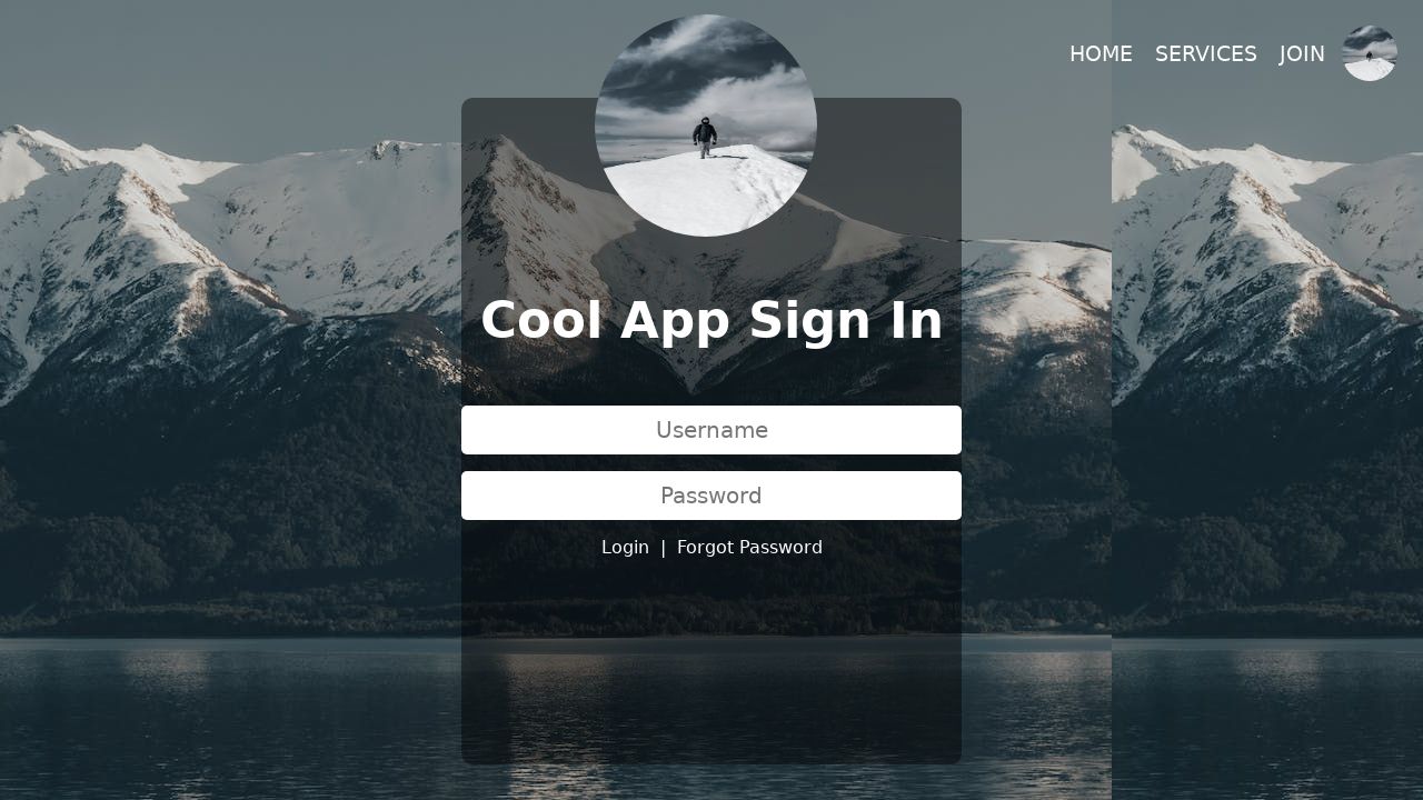 cool login form