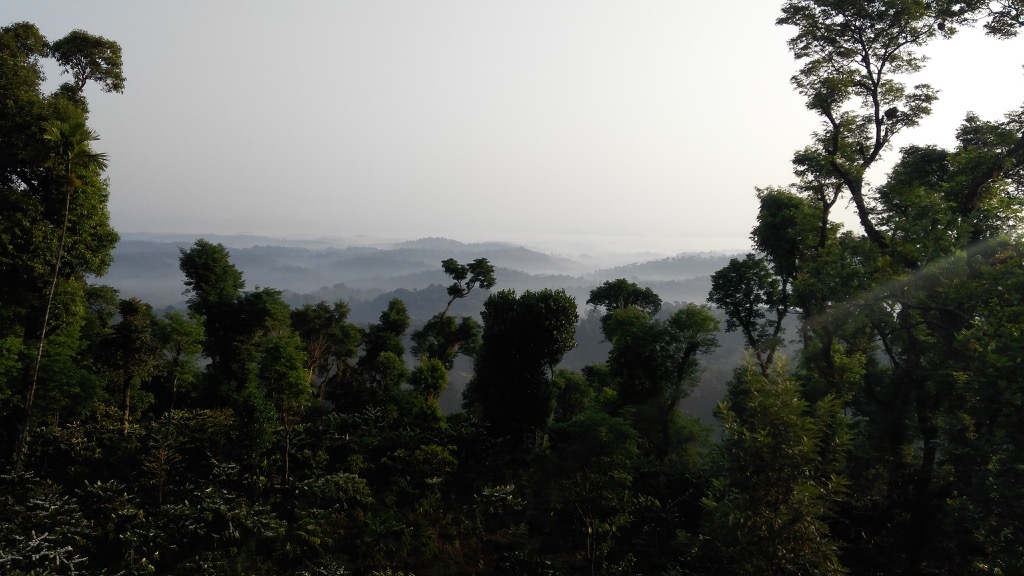 Coorg visit, March 2016