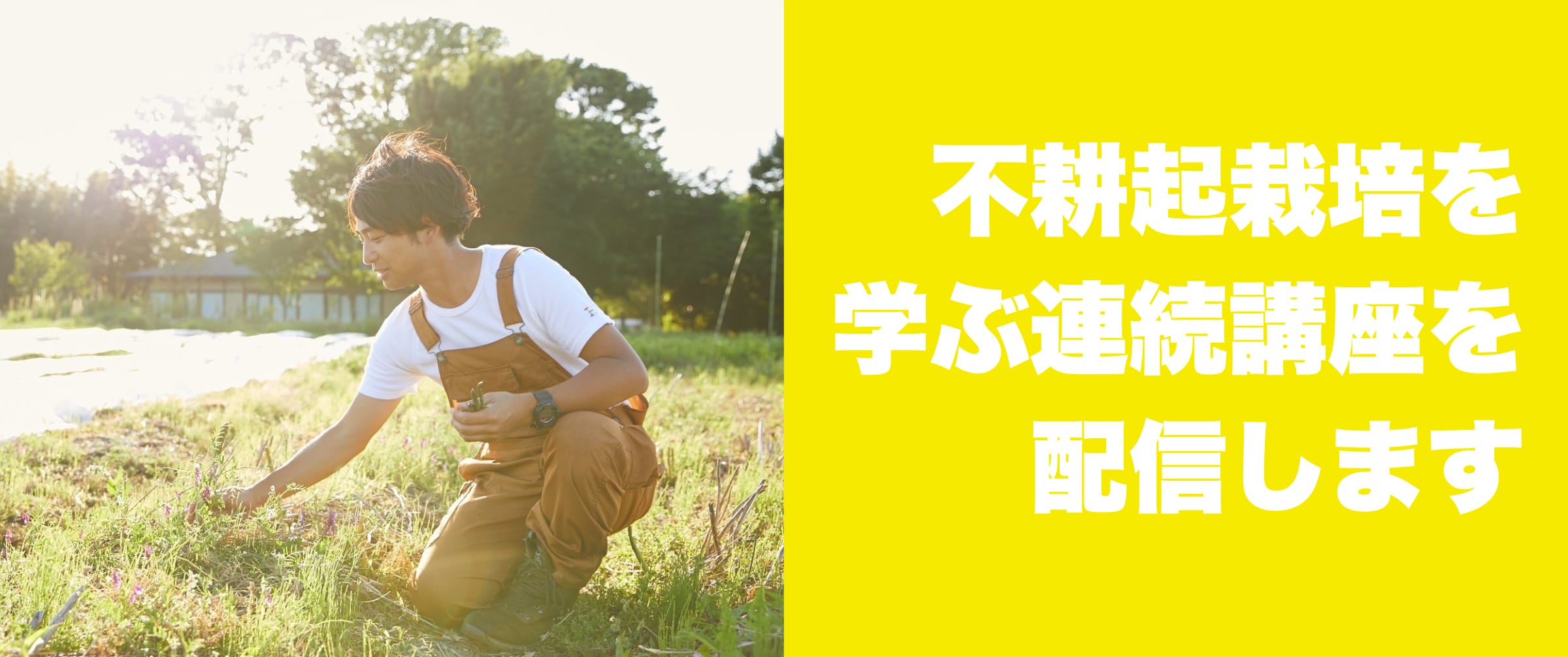 不耕起栽培勉強会