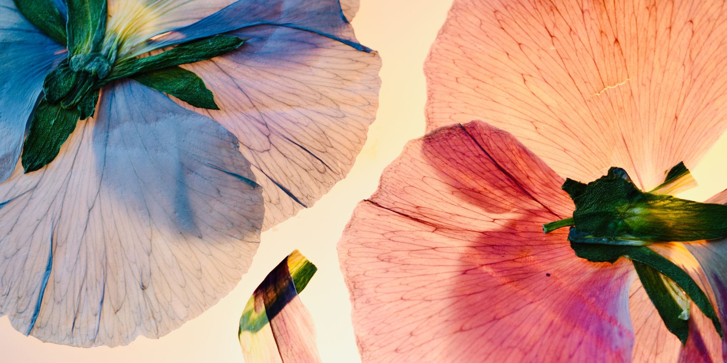 習い事教室の先生の必需品