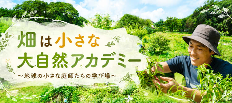 畑は小さな大自然アカデミートップページ