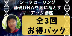 【録画販売中】【お得なまとめ買い】全３回シータヒーリング基礎DNAを腑に落とすマニアック講座＜中級編＞