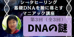 【録画販売中】【全３回】シータヒーリング基礎DNAを腑に落とすマニアック講座＜中級編＞第三回