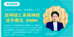 皮神経と末梢神経への徒手療法・DNM実技動画（DNM理論概要付き）/ 21の実技 / 約35分