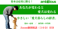 やさしい「愛犬暮らしの辞書」　中級編　＜ZOOM個別相談付き＞