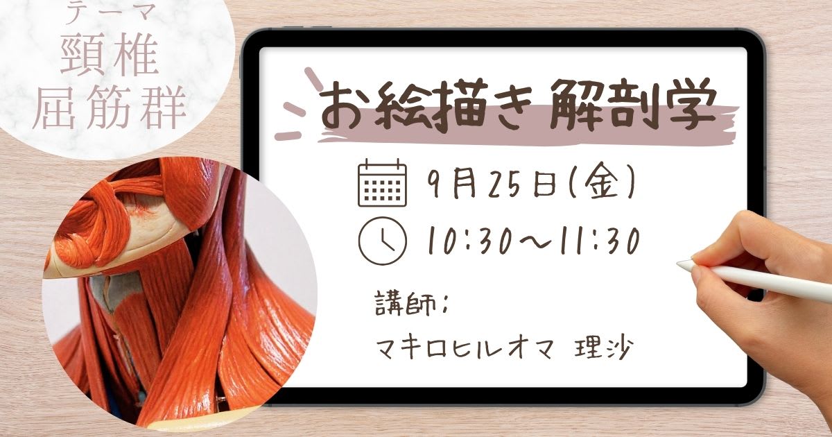 【告知】お絵描き解剖学「頸椎①屈筋群」
