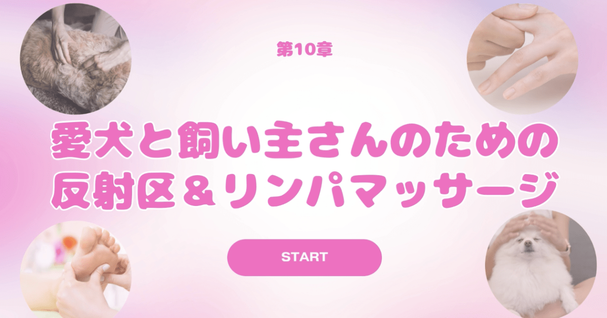 人と犬の健康教室　第10章　愛犬と飼い主さんの反射区＆リンパマッサージ