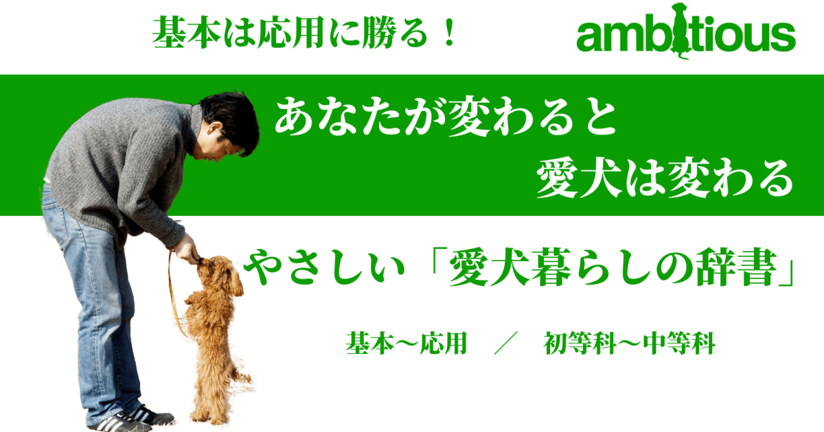 やさしい「愛犬暮らしの辞書」　中級編