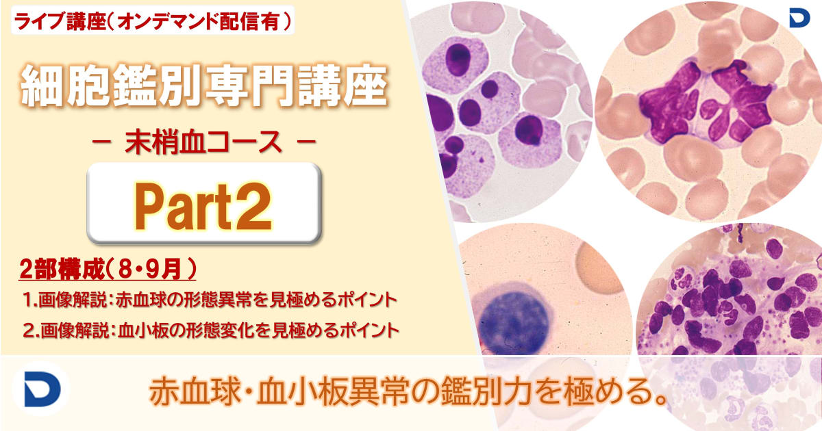 細胞鑑別専門講座：末梢血Part2（全2回）