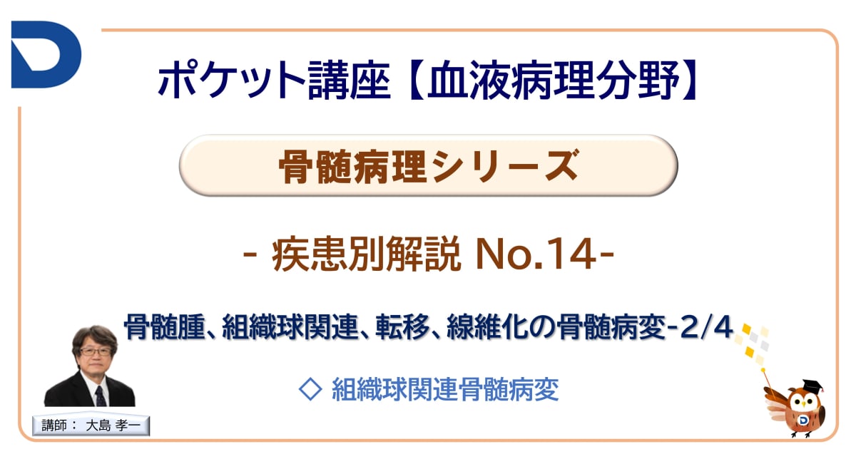骨髄病理シリーズ：疾患別解説No.14「骨髄腫、組織球関連、転移、線維化の骨髄病変」-2/4」
