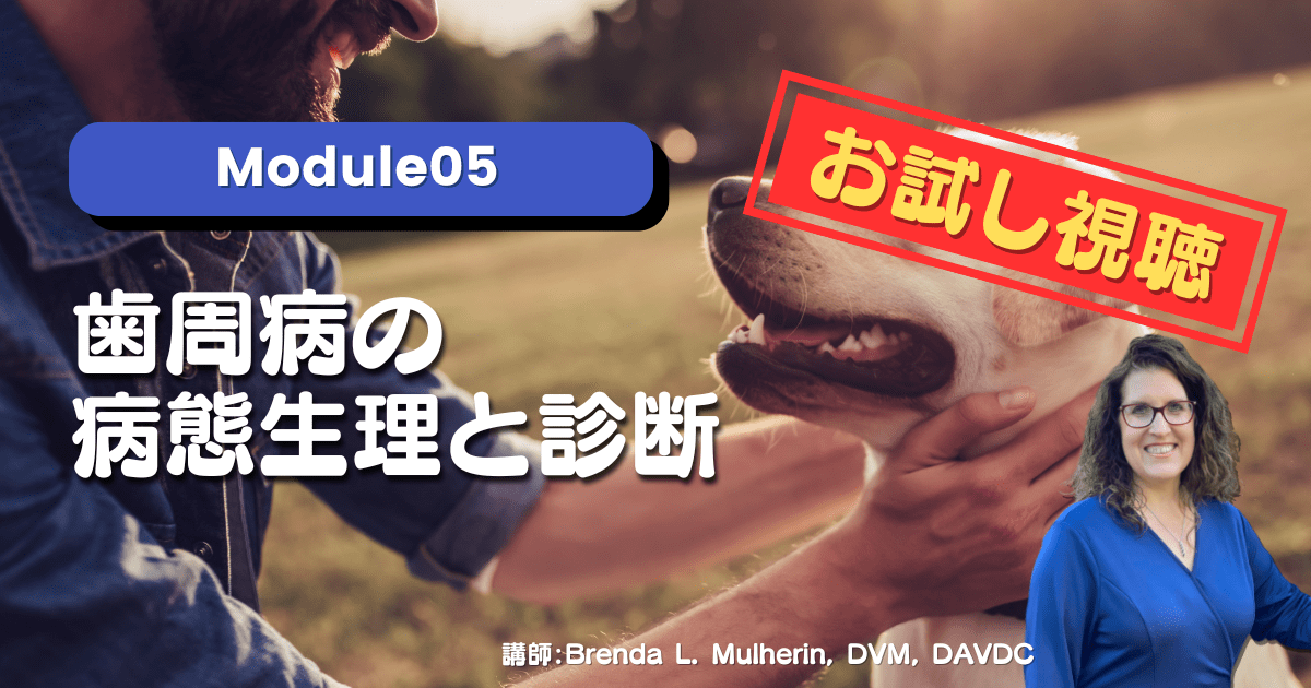 【お試し視聴】Module05 歯周病の病態生理と診断