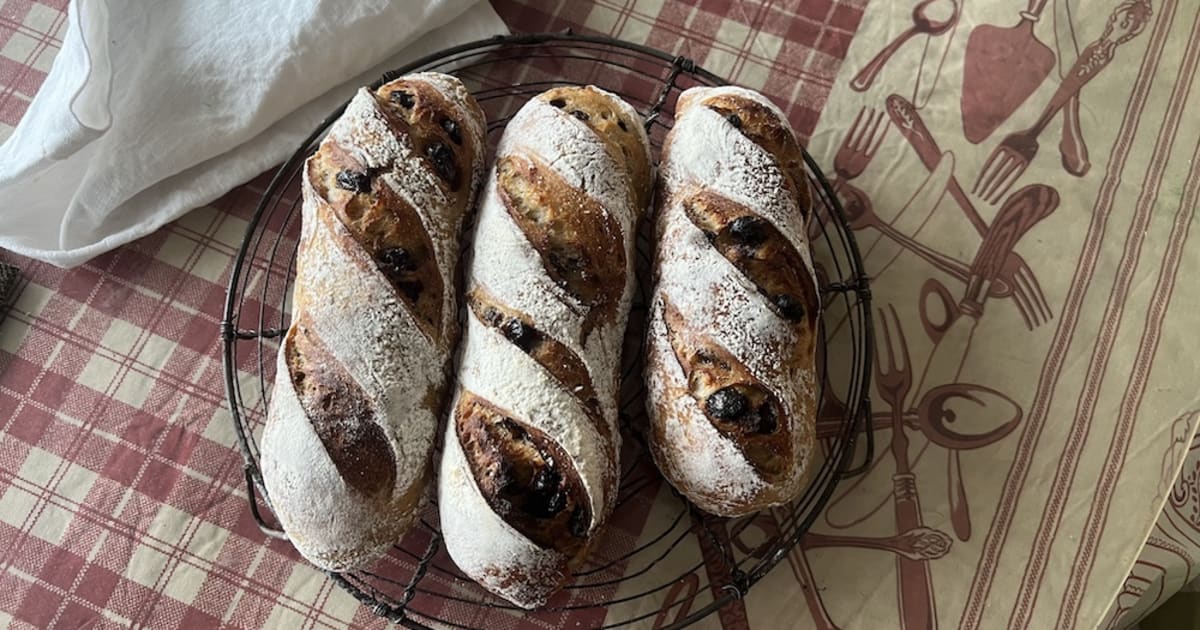 202503パン（自然酵母）（動画）ブドウのハードパン（外皮あり・ポートリッジ種入り）