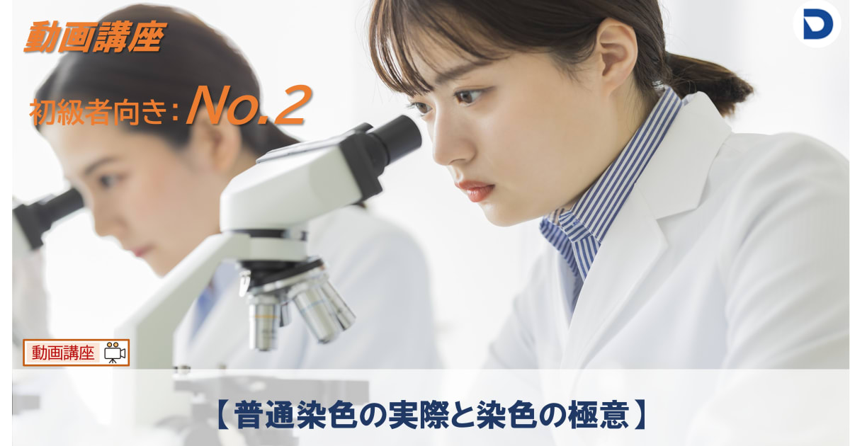 No.2  普通染色の実際と染色の極意