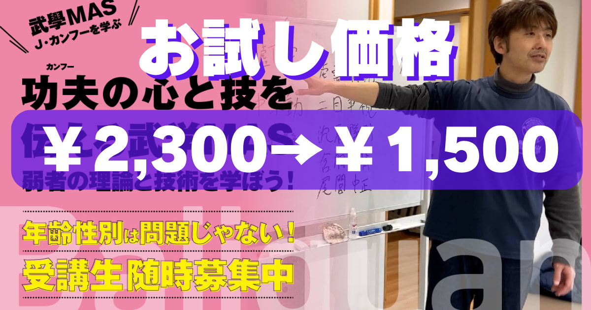 【導入価格‼】1⃣小八極拳解説編（武学MASセミナー2017）