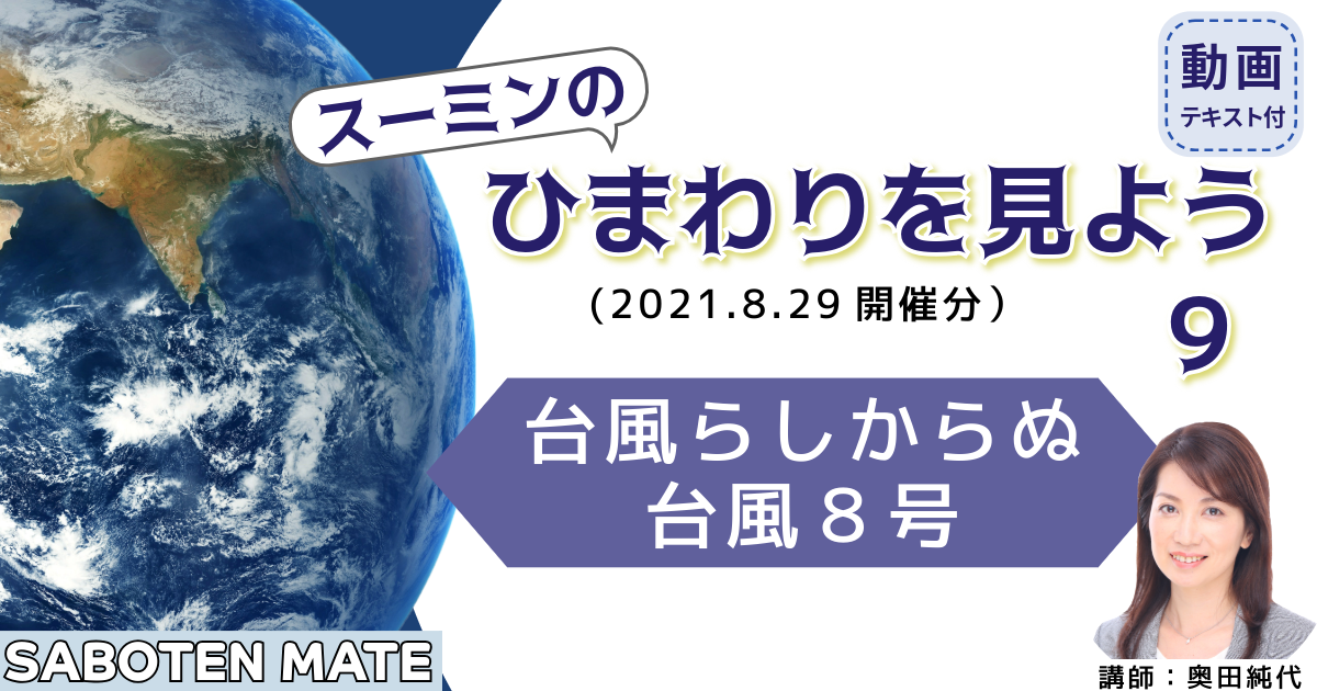 スーミンのひまわりを見よう（９）～台風らしからぬ台風８号～