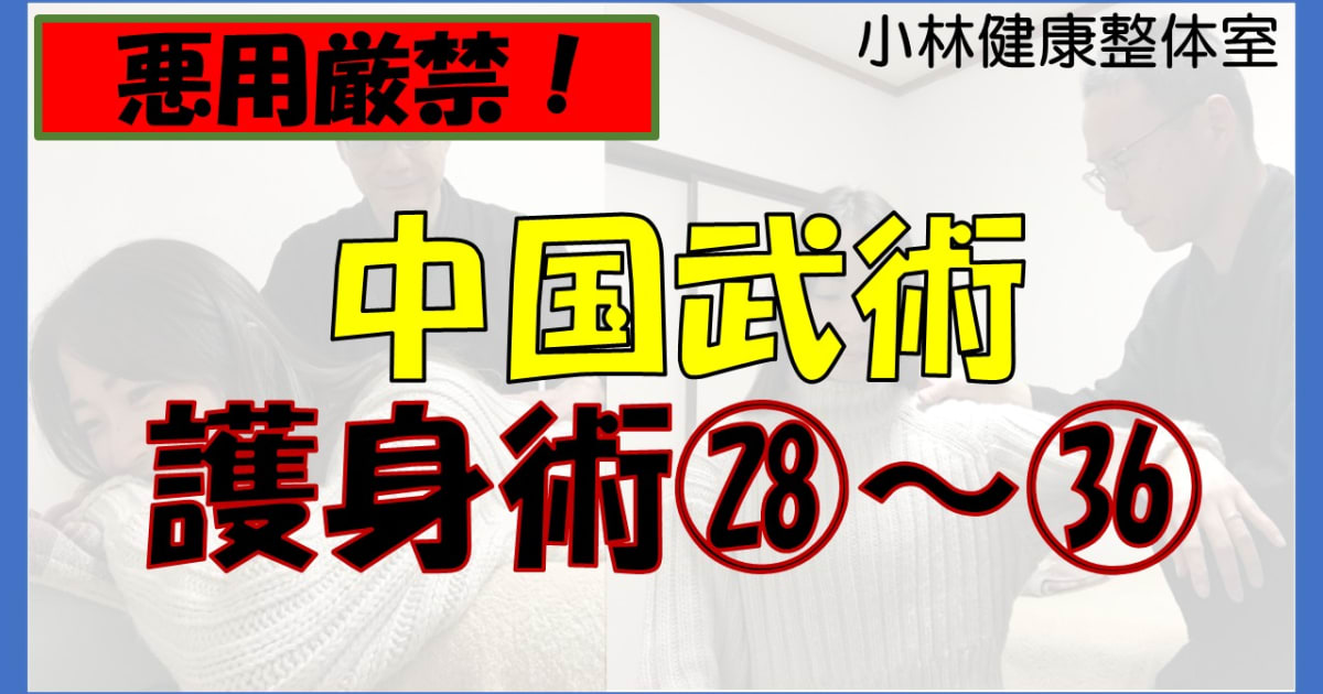 【悪用厳禁】中国武術、護身術28～36