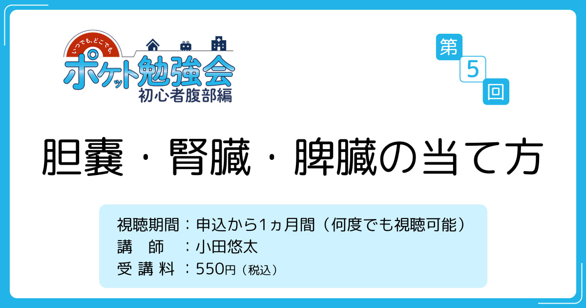 胆嚢・腎臓・脾臓の当て方