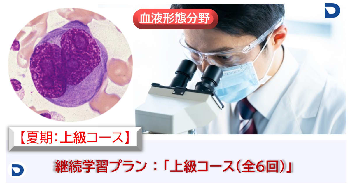 2025年度夏期　血液形態学：上級コース（継続学習プラン）