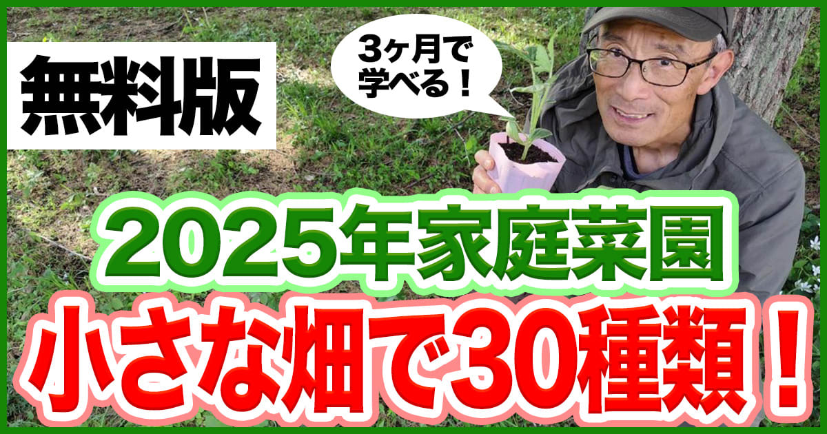 小さな畑で30種類の野菜を作る講座【無料版】