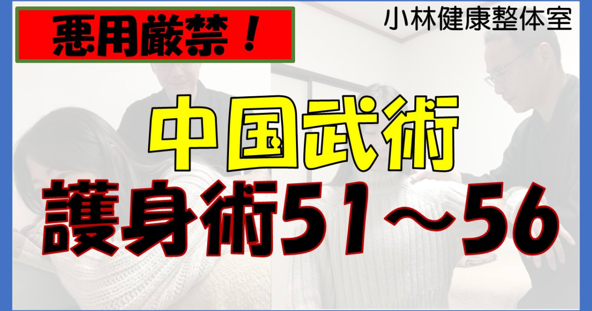 【悪用厳禁】中国武術、護身術51～56