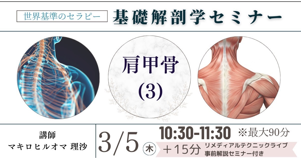 【新】基礎解剖学「肩甲骨③　神経／運動連鎖／筋膜」