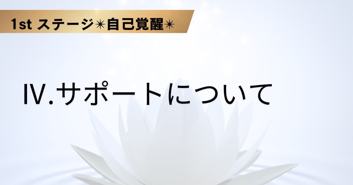Ⅳ.サポートについて