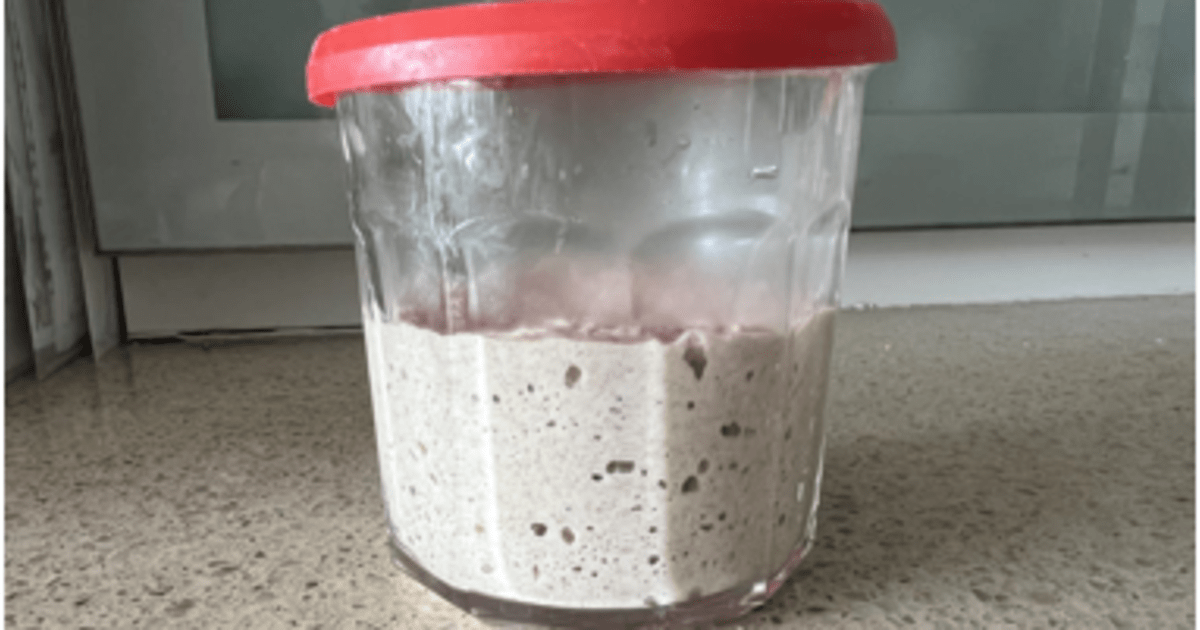 202501パン（動画）自然酵母サワー種の作り方