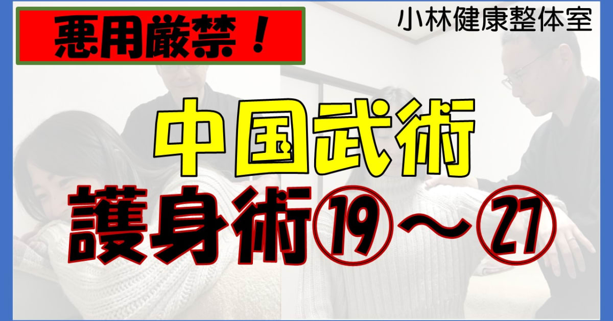 【悪用厳禁】中国武術、護身術19～27