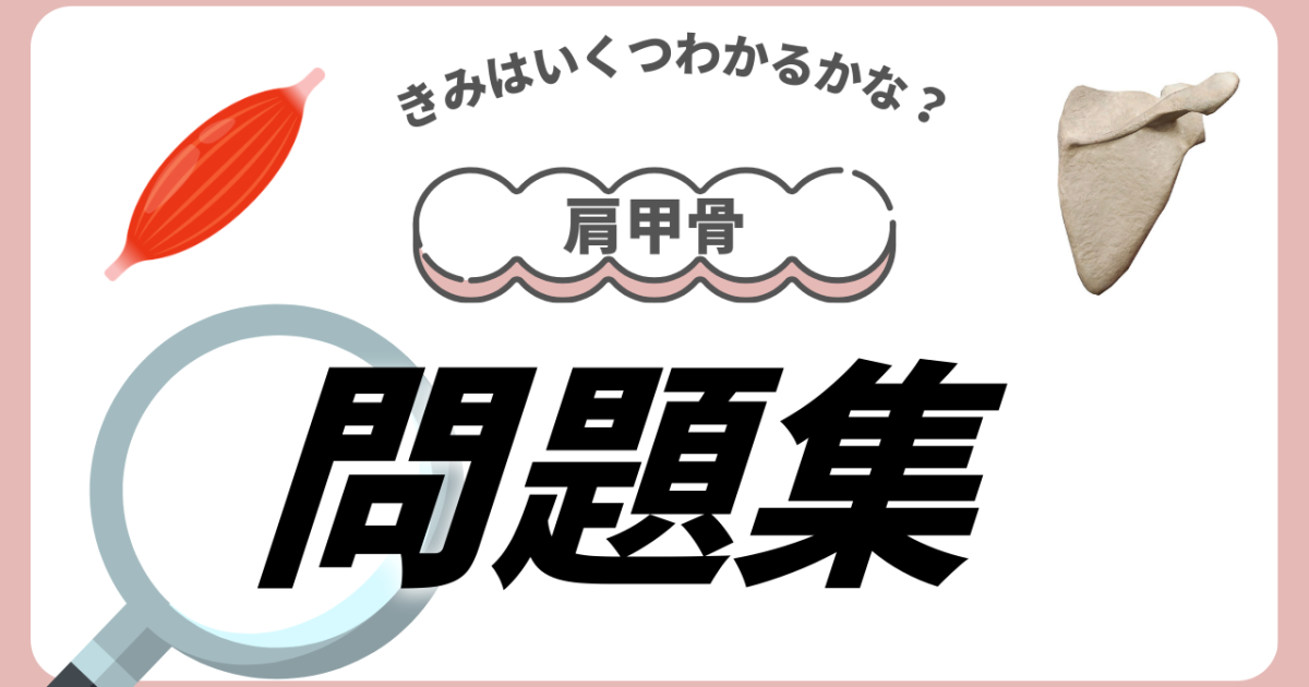 【基礎解剖学問題集】肩甲骨
